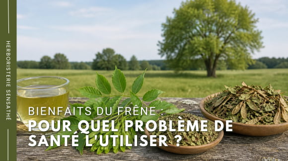 Bienfaits du frêne  pour quel problème de santé l'utiliser - Herboristerie Sensathé